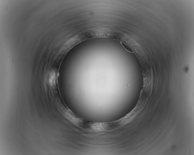 X0000097880142200803141328
