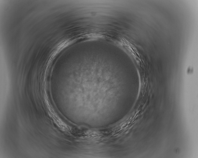 X0000097880145200803141327