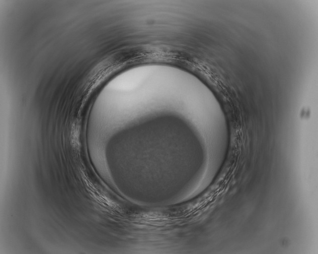 X0000097880146200803141327