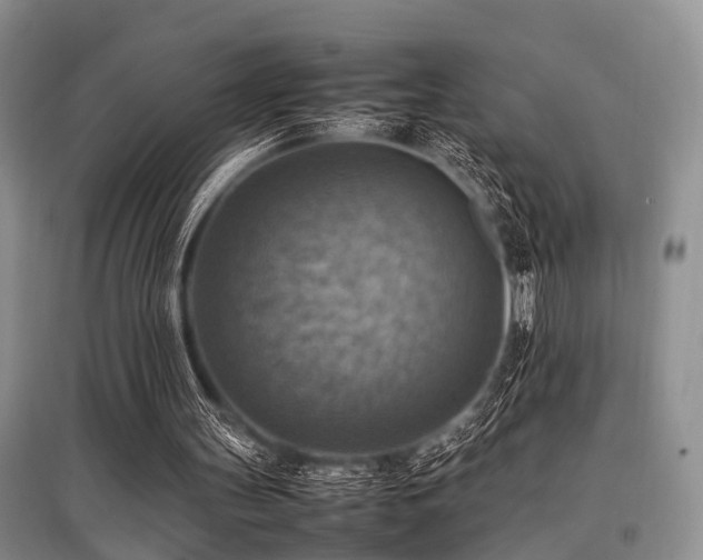 X0000097880147200803141327