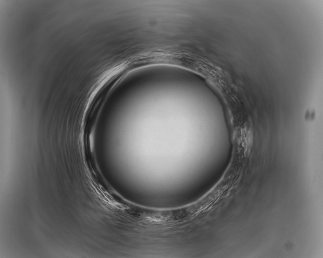 X0000097880148200803141327