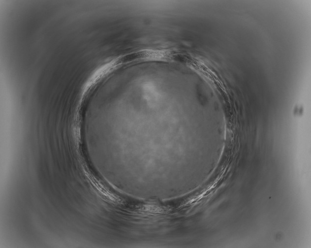X0000097880149200803141327