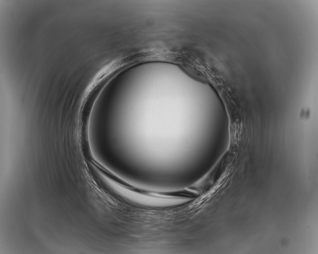 X0000097880150200803141327