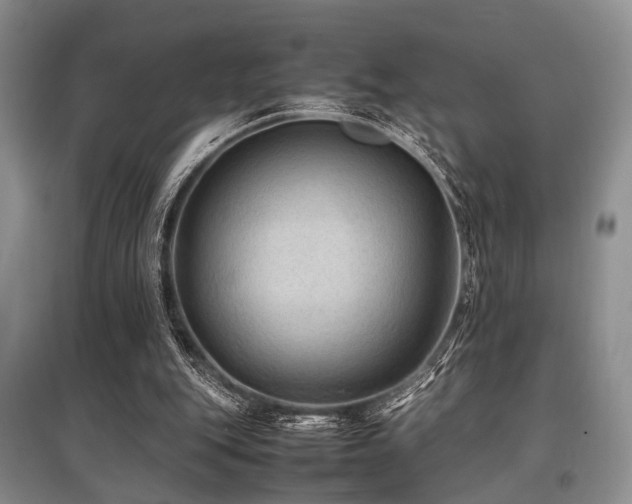 X0000097880151200803141327