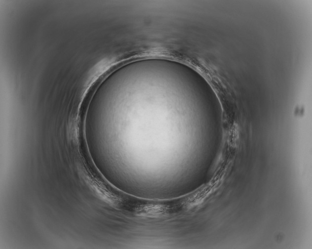 X0000097880152200803141327