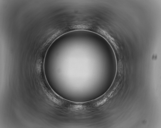 X0000097880153200803141327