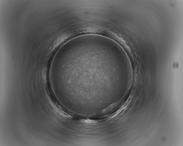 X0000097880154200803141327