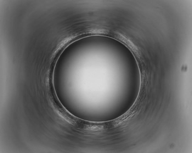 X0000097880155200803141327