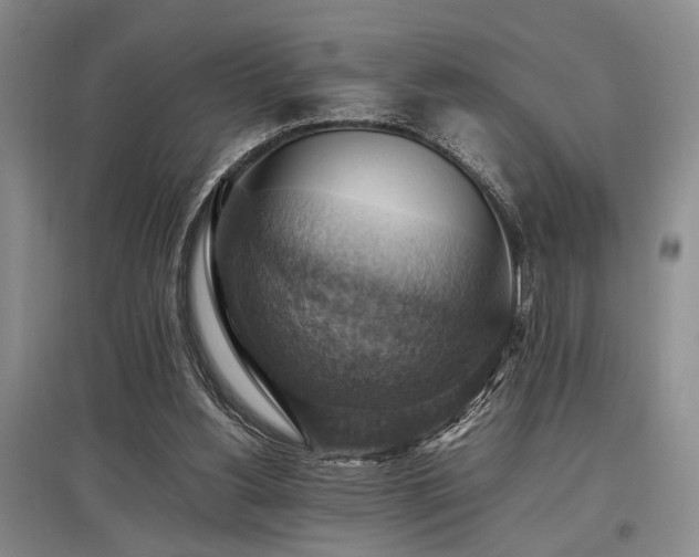 X0000097880156200803141327