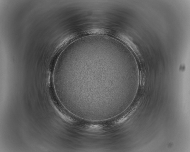 X0000097880157200803141327