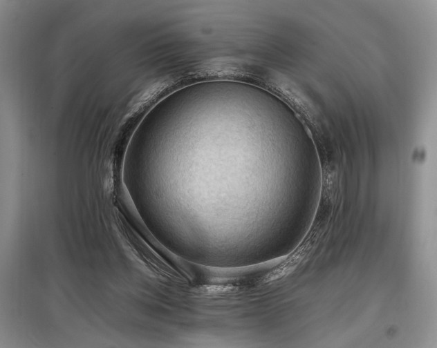 X0000097880158200803141327