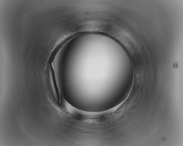 X0000097880160200803141327