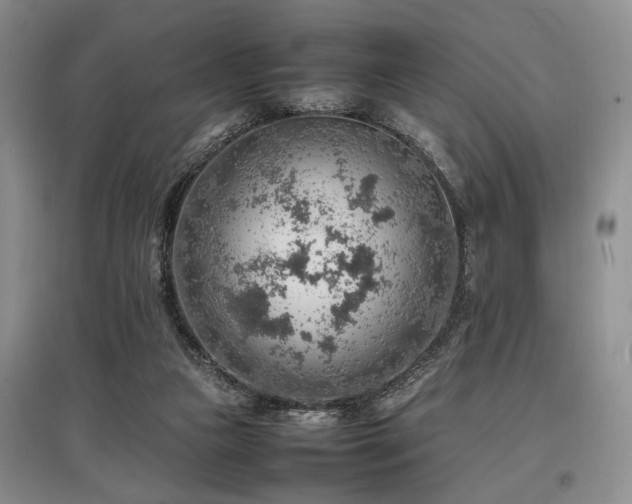 X0000097880161200803141327