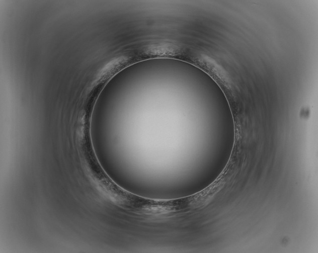 X0000097880163200803141327