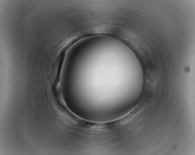 X0000097880164200803141327