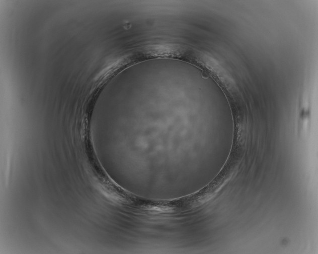X0000097880165200803141327