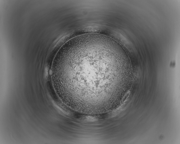 X0000097880166200803141327