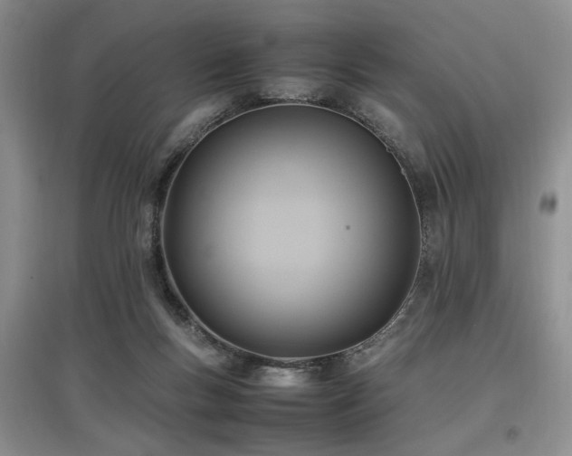 X0000097880167200803141327