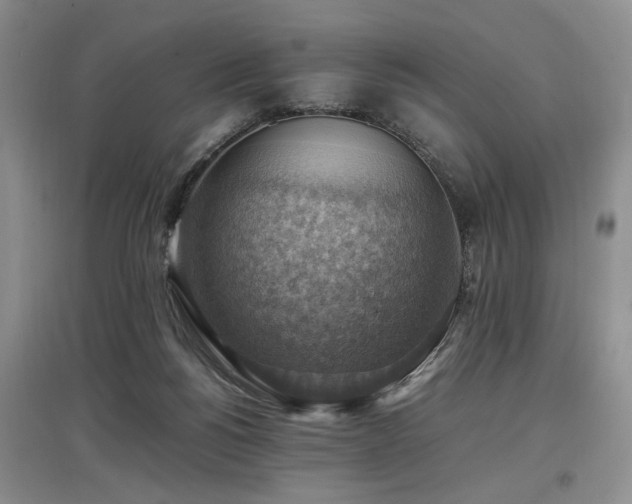X0000097880168200803141327