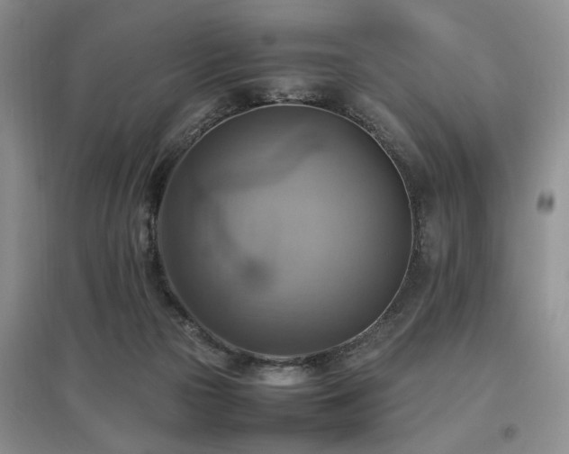 X0000097880169200803141327