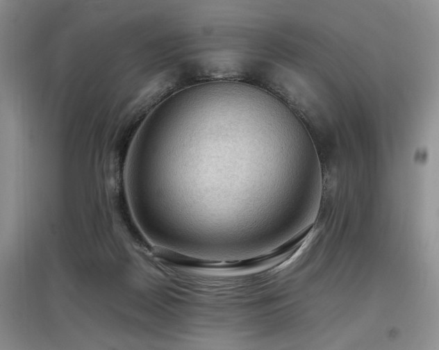 X0000097880170200803141327