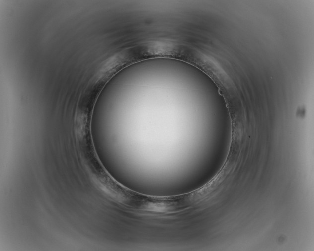 X0000097880171200803141327
