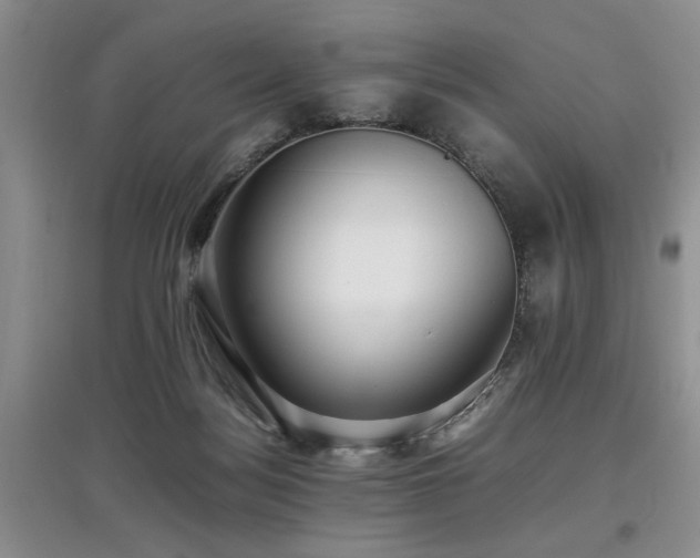 X0000097880172200803141327