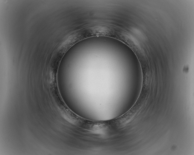 X0000097880173200803141327