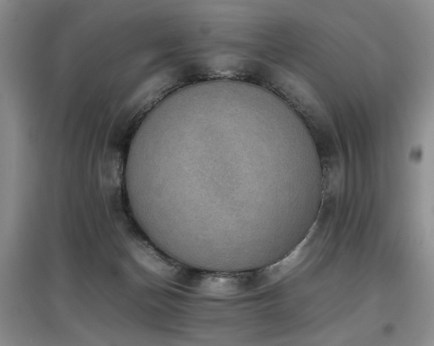X0000097880174200803141327