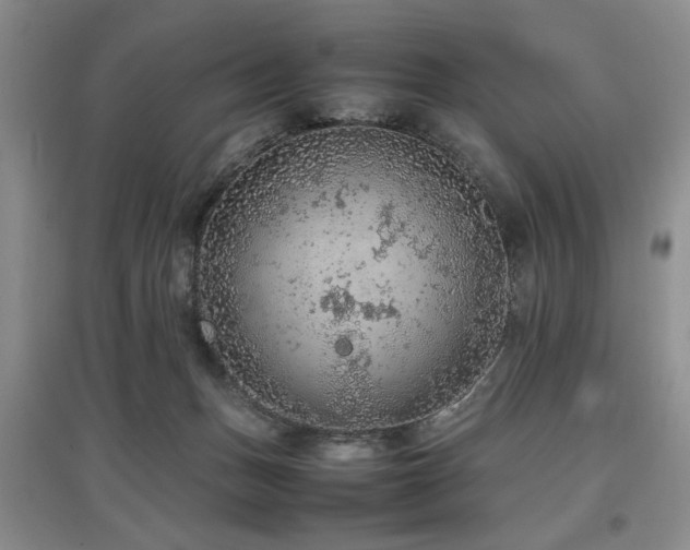 X0000097880175200803141327