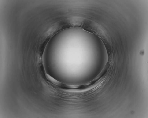 X0000097880176200803141327