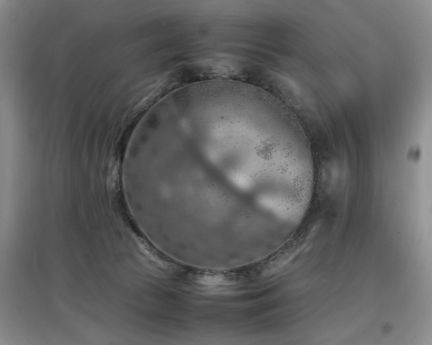 X0000097880177200803141328