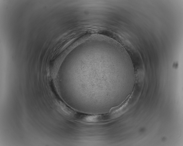 X0000097880178200803141328
