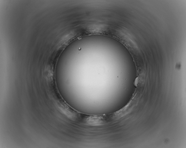 X0000097880179200803141328