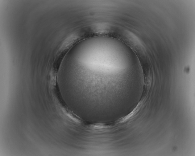 X0000097880180200803141328