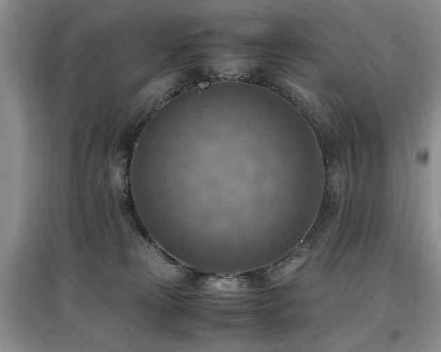 X0000097880181200803141328