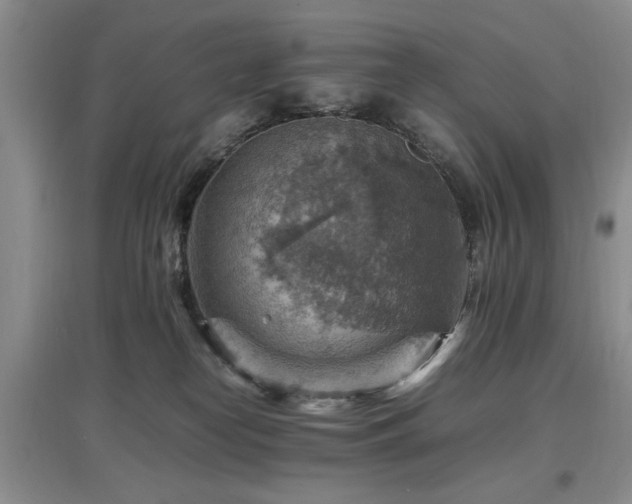 X0000097880182200803141328