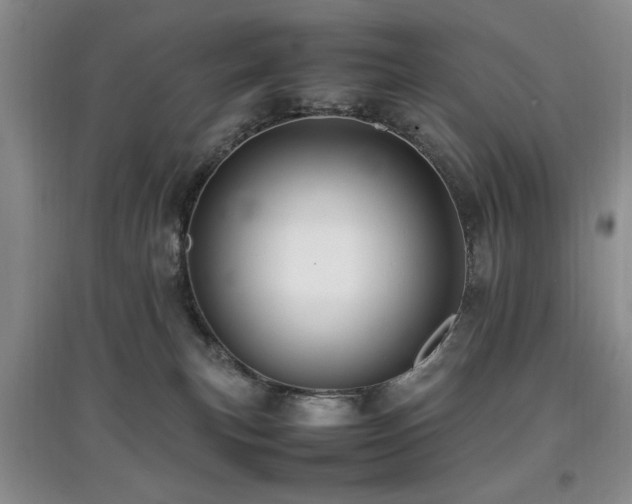 X0000097880183200803141328