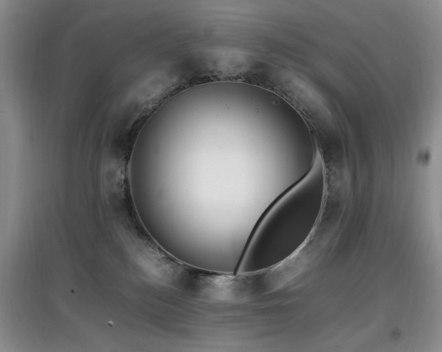 X0000097880184200803141328