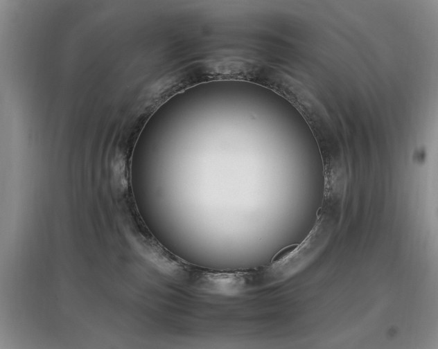 X0000097880187200803141328