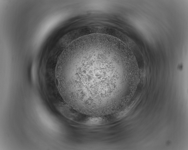 X0000097880189200803141328
