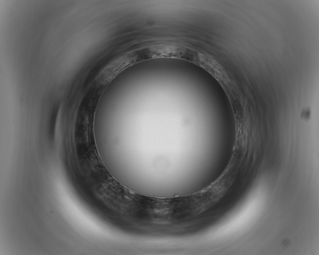 X0000097880191200803141328
