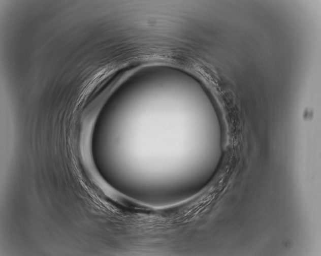 X0000097880193200803141327