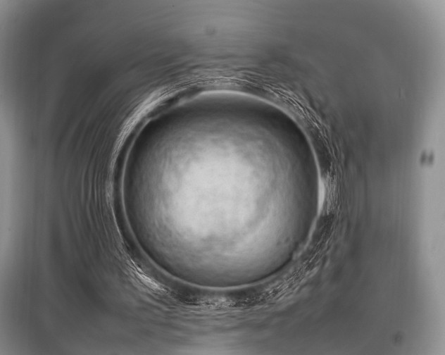X0000097880195200803141327