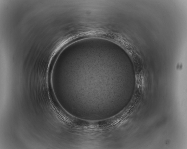 X0000097880196200803141327