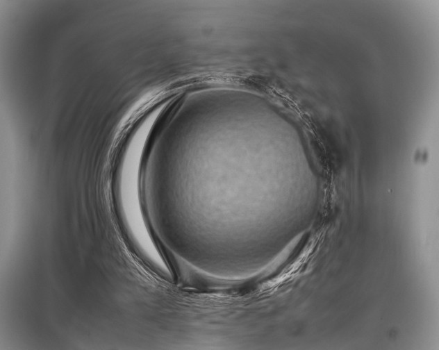 X0000097880197200803141327