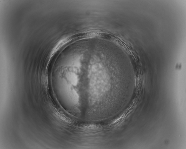 X0000097880198200803141327