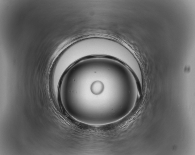 X0000097880199200803141327