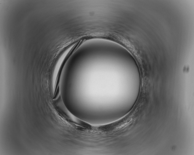 X0000097880201200803141327