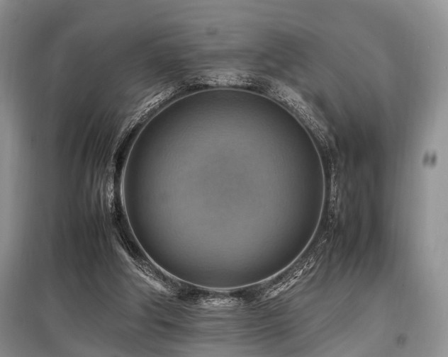 X0000097880202200803141327